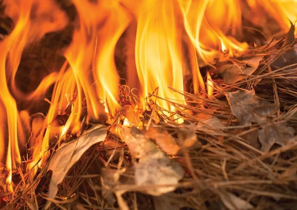 A fire is burning in the woods with leaves.