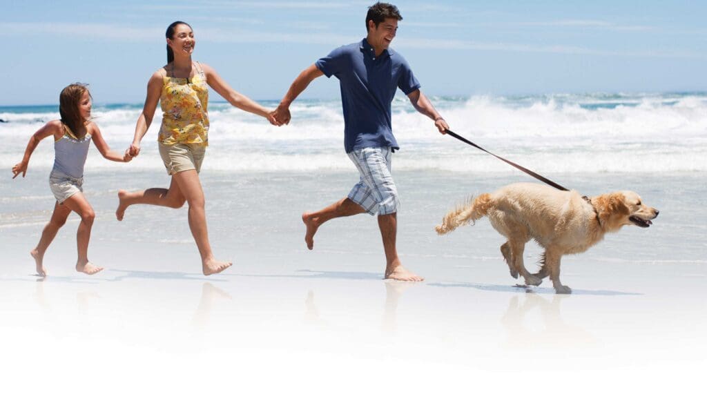 A man and woman running on the beach with their dog.