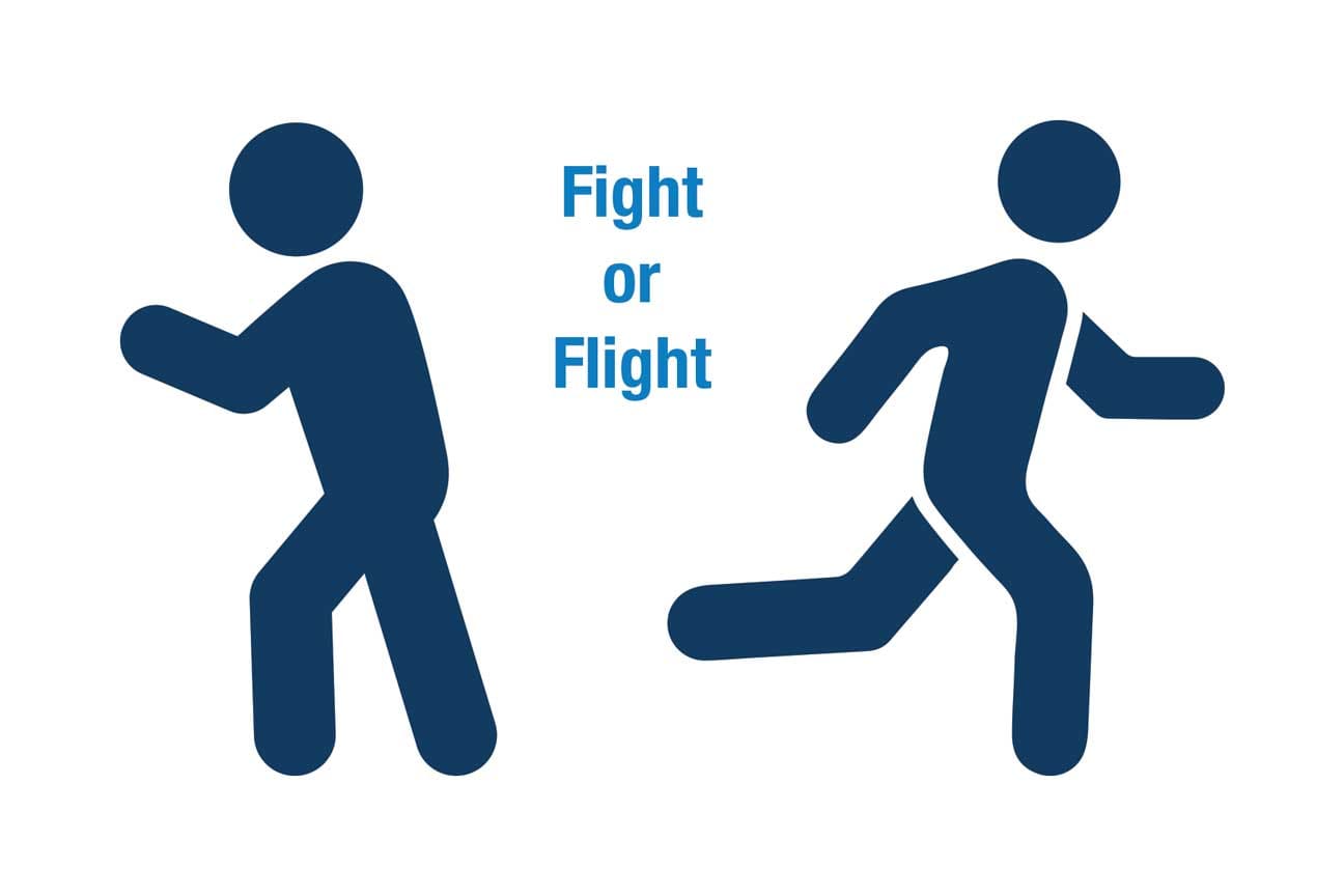 Fight or Flight graphic.